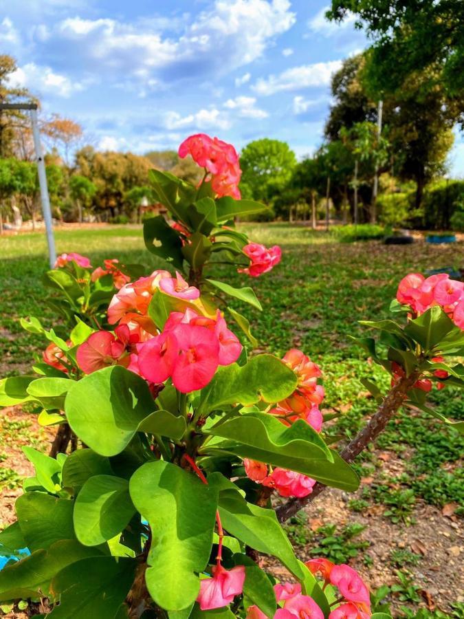Hotel Glamping Girardot & Puerta Del Sol Girardot